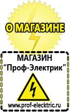 Магазин электрооборудования Проф-Электрик Инвертор+автомобильный акб в Бердске